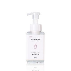 올바름 우리아기 안심 젖병세정제 리치향, 450ml, 1개