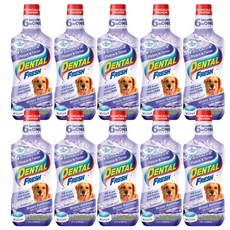 시너지랩 덴탈후레쉬 애견 구강청결제, 503ml, 10개