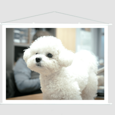 조아빔프로젝터