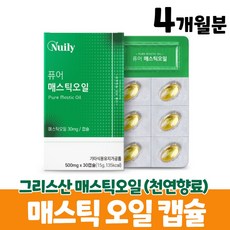 맥오일스틱