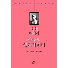 소화데레사