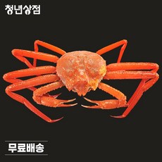 레드킹크랩1kg