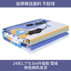 캠핑용 전기 장판 매트 전기요 휴대용 1인용 워셔블 담요 12V 차박 낚시, [업그레이드 버전] 24V 1.7 x 0.5m