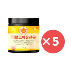 파이브로