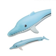 바늘빼기돌고래