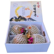 청양메론