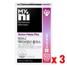 마이니액티브엽산플러스