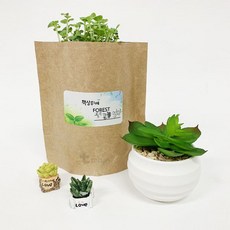 더포레스트스팀