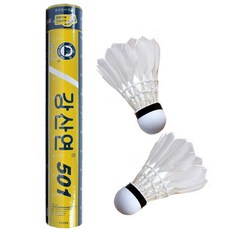 강산연101