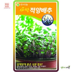 암을이기는건강밥상