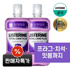 리스테린 토탈 케어 플러스 구강청결제, 1L, 2개