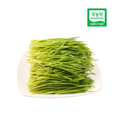 대관령청정농원 해발700m 오대산 청정지역 대관령 청정농원, 1개, 2kg