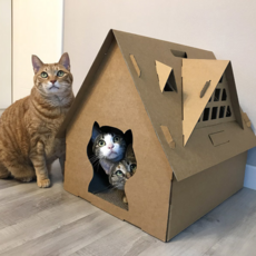  캐토피아 캣스크래쳐 하우스 QY-H001, 1개 