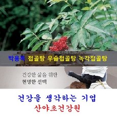 우슬접골탕(35일분):70팩 접골목 딱충나무 말오줌나무 접골탕 녹각접골탕