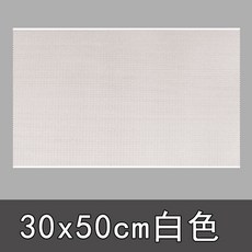 컴퓨터먼지망50