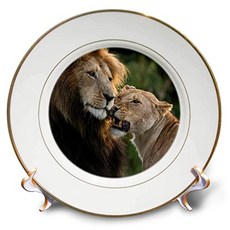 367ab99420f1c60c223efdae36ec1d32835bca8f1519146b22c76c510ce9.jpg
