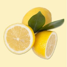 [프라임농장] Sunkist 레몬 대과 4.8kg이내(40개), 1박스