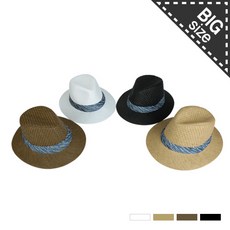 페도라l4어댑터