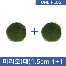 [원플러스 특가]마리모 단품 대 1.5cm (1+1)