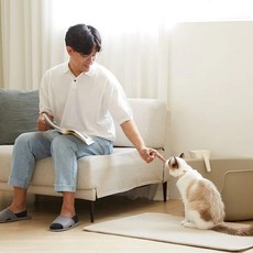 고양이ㅁㅊ화장실