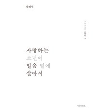 사랑하는 소년이 얼음 밑에 살아서 -시간의흐름 시인선-01 (양장), 시간의흐름, 한정원