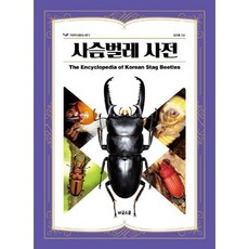 사슴벌레 사전