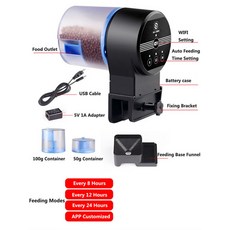 키우기쉬운물고기