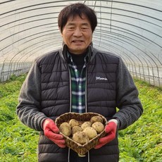 21년산 강원도 제주 포슬포슬 햇 수미 감자 못난이 중 대 특대 3kg 5kg, 중 5kg