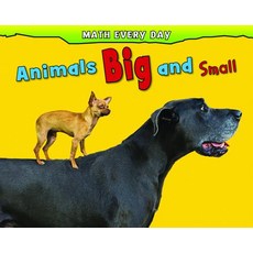 Animals Big and Small Paperback, Raintree