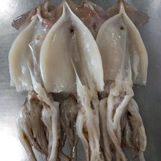 울릉도 당일잡이 물오징어 (냉동) 소 10마리