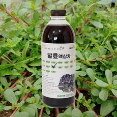 자연미가 쇠비름 효소액 1000mlx1병/ss 자연숙성 발효액100%, 1000ml x1병, 1개