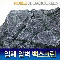 Noble 3D 암벽 백스크린 #2-black