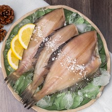천해수산 국내산 기름가자미 동해 생물 건조 말린 손질 반건조가자미, 1세트, 소 1kg (10~12마리)