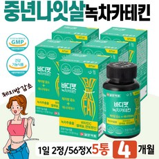 올챙이배