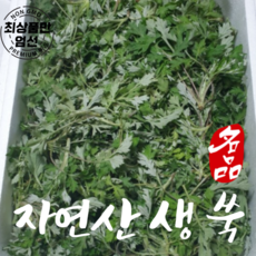 국내산 무농약 자연 쑥 노지쑥 생쑥 1kg 500g, 500g(1개), 1개