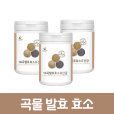 곡물 발효 효소 분말 가루 대용량 소화효소 유산균 추천