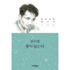 풀이 눕는다 - 김수영 (시인생각 한국대표 명시선 100), 시인생각