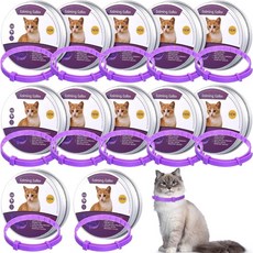  카밍칼라 페로몬 고양이 행동 진정 칼라 불안 스트레스 완화, 보라 