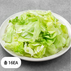 롯데푸드 양상추 슬라이스, 16개, 800g