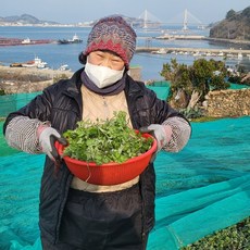 노지에서 자란 거문도 해풍쑥, 1개, 4kg