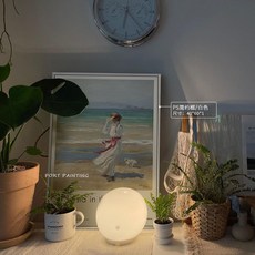 소그림키재기