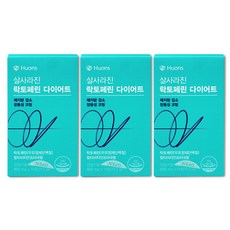 살사라진감량전환