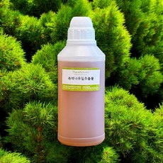 [더위치] 측백엽 추출물 500ml 측백나무잎추출물 Biota Orientalis huja Orientalis Leaf Extract