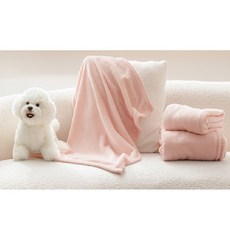 강아지무릎담요