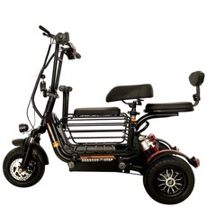 ALQ01 유아 어린이 동승 엄마 삼륜 전기 자전거/3륜 전동스쿠터 전기바이크 350W 48V 12A, 블랙