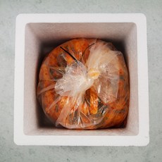 100%국산 30년 전통 전라도 총각김치, 2kg, 1개 - 이미지 6