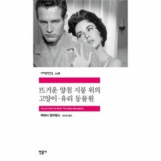 뜨거운양철지붕위의고양이