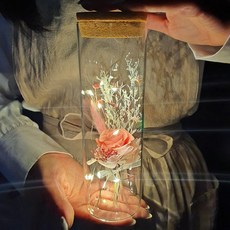 라알레그리아 특별한 편지지 세트 꽃 LED 특이한 유리병편지 생일 크리스마스 선물 여자친구 결혼 100일 기념일 감동 이벤트 행사 명절 추천 홈파티, 코랄핑크 (블루밍), 1세트