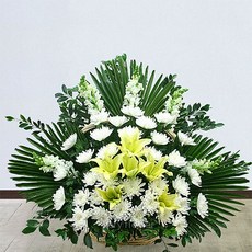 푸시아베리플라워