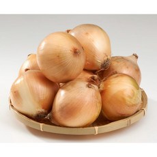 [오늘야채]25년 창녕 햇양파(중) 산지직송, 1개, 5kg